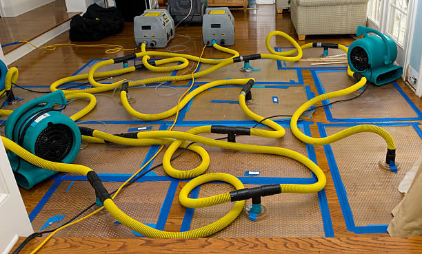 Professional Flood Damage Restoration technician working in Hillsboro, IL